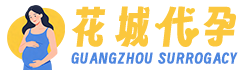 ���ݻ��Ǵ���֮��LOGO